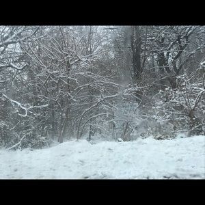 Meet your Posher, Eugene